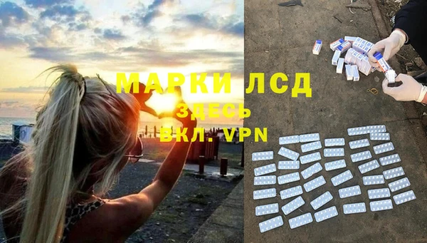 таблы Гусев