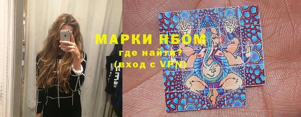Альфа ПВП Гусь-Хрустальный