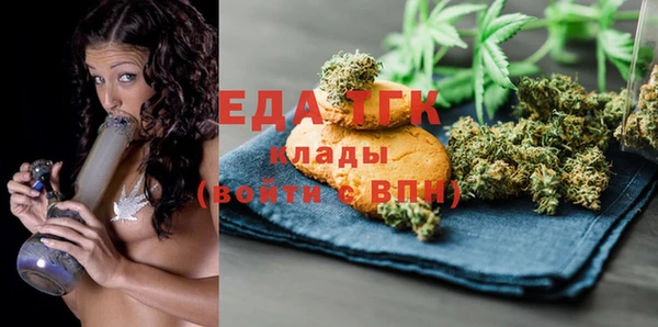 таблы Гусев