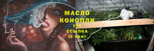 Альфа ПВП Гусь-Хрустальный