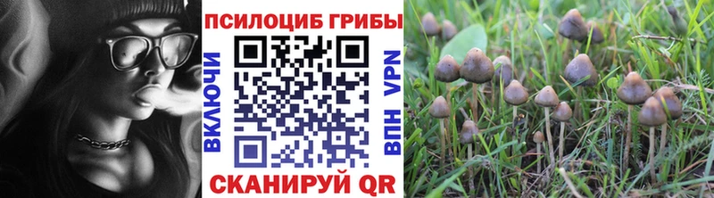 Галлюциногенные грибы Magic Shrooms  гидра   Емва 